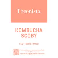 Theonista Scoby